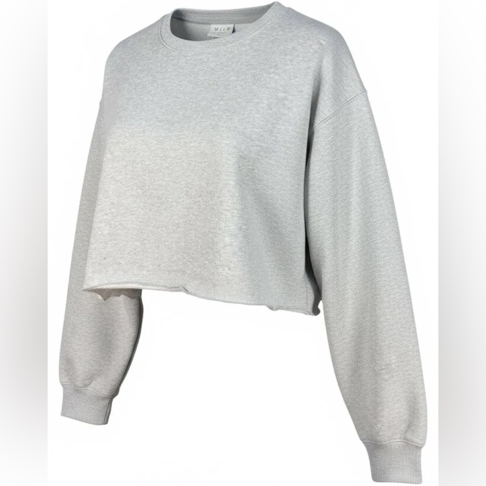 Gray WILO Cropped Sweatshirt - Picture 2 of 5